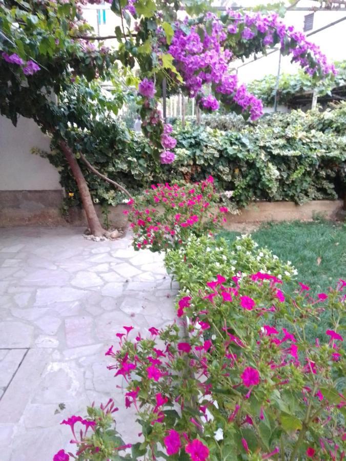 Apartment Andelka Omiš Zewnętrze zdjęcie