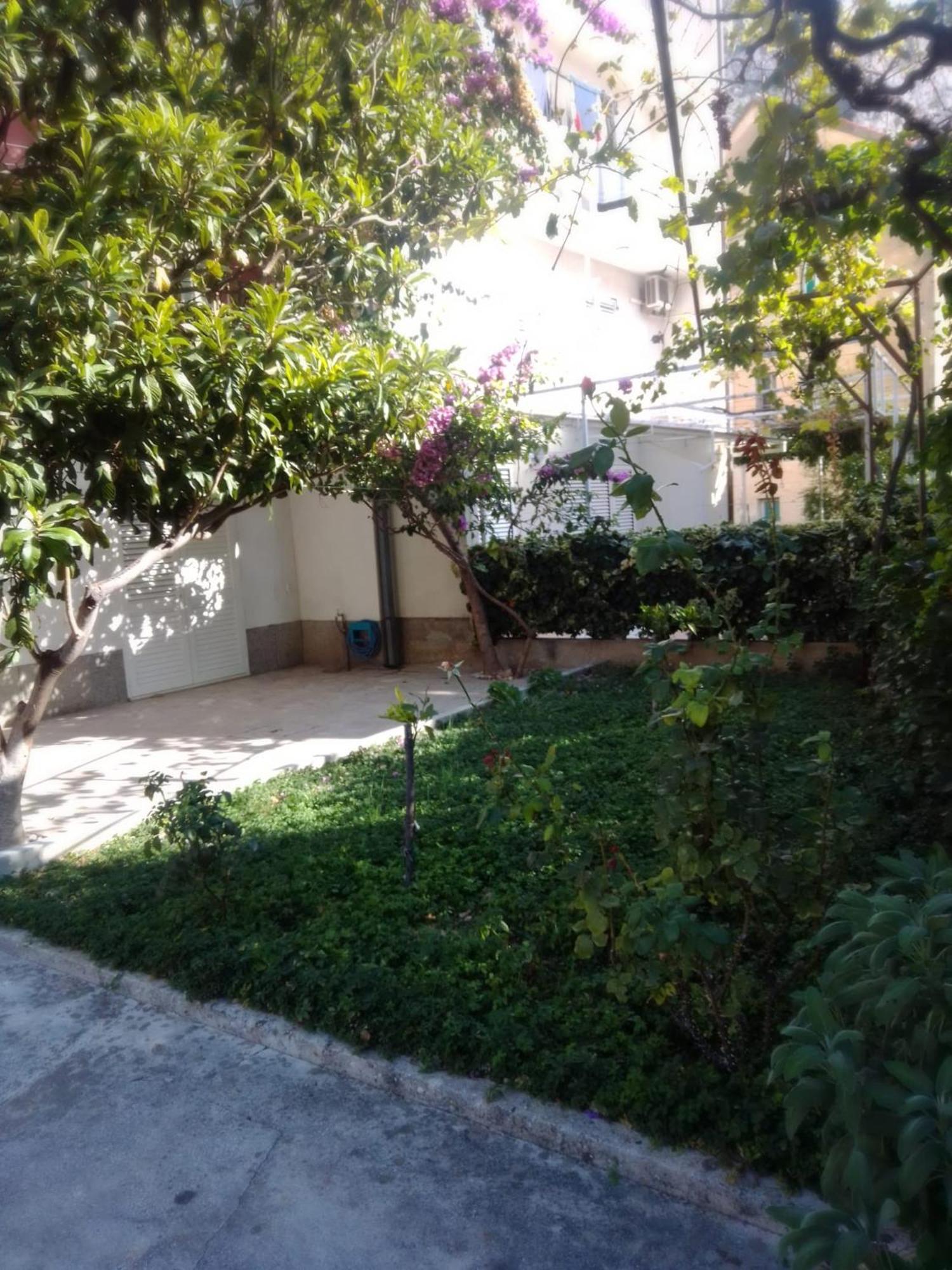 Apartment Andelka Omiš Zewnętrze zdjęcie