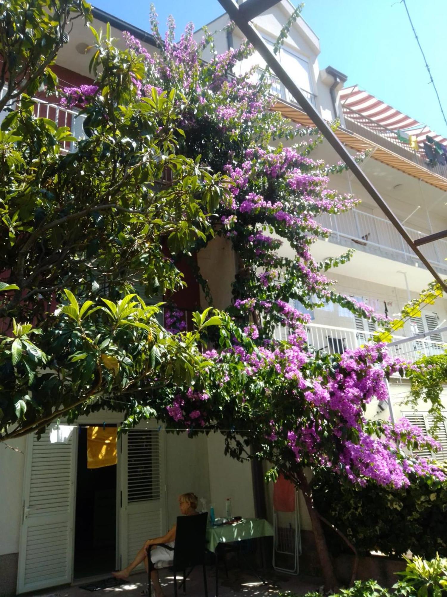 Apartment Andelka Omiš Zewnętrze zdjęcie