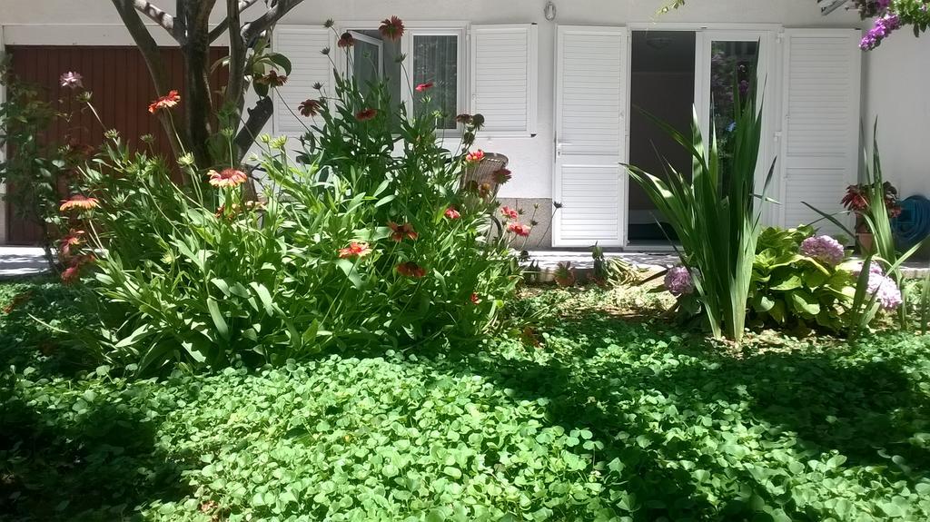Apartment Andelka Omiš Zewnętrze zdjęcie